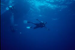 free fall by Eddie Jones 